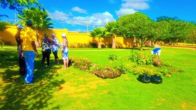 Residents planting flowers together on the green