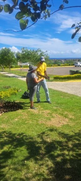 Resident planting a tree