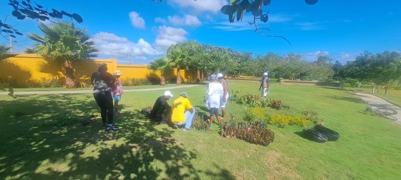 Volunteers working on a flower bed
