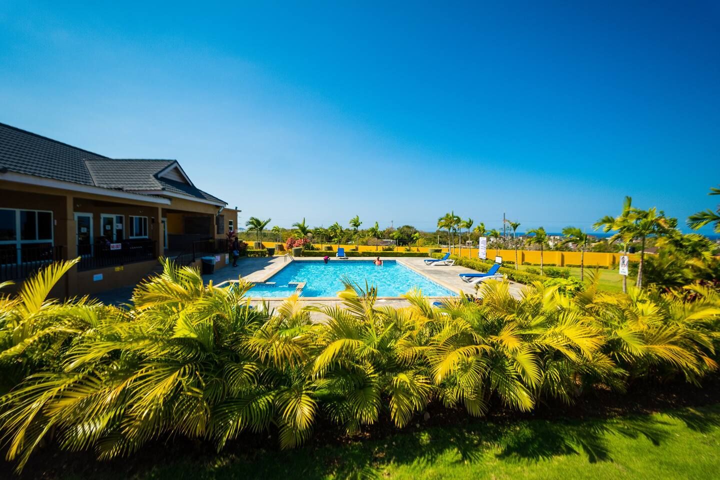 Stonebrook Manor pool and clubhouse framed by palms